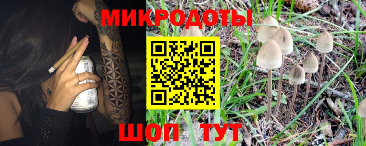 Глазов  Псилоцибиновые грибы MAGIC MUSHROOMS  Вход с VPN 